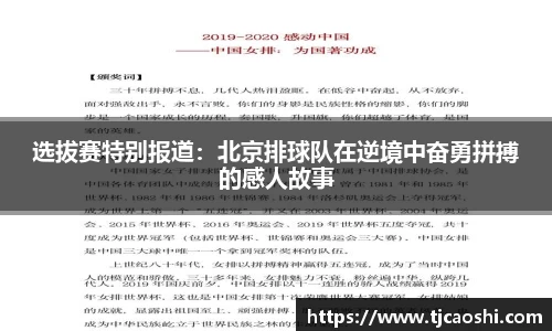 球信网平台